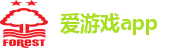 爱游戏app